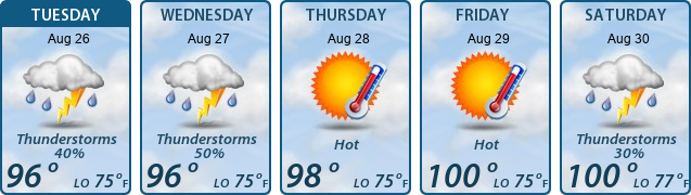 5-Day Forecast