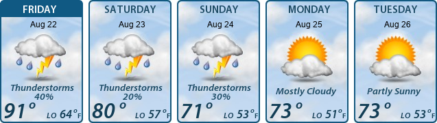 5-Day Forecast